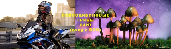 амф Белокуриха