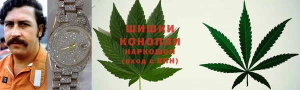 амф Белокуриха