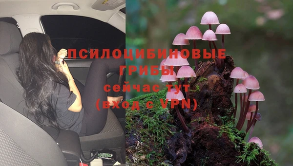 гашиш Беломорск