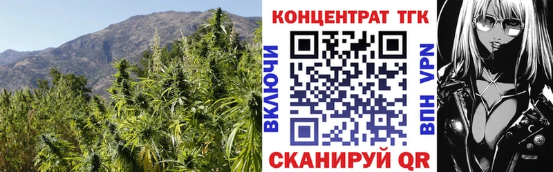 купить наркоту  hydra ССЫЛКА  darknet как зайти  Волосово  Дистиллят ТГК THC oil 