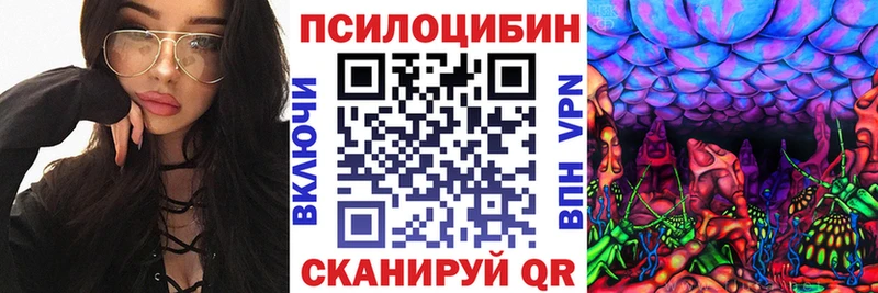 купить наркоту Волосово Галлюциногенные грибы ЛСД