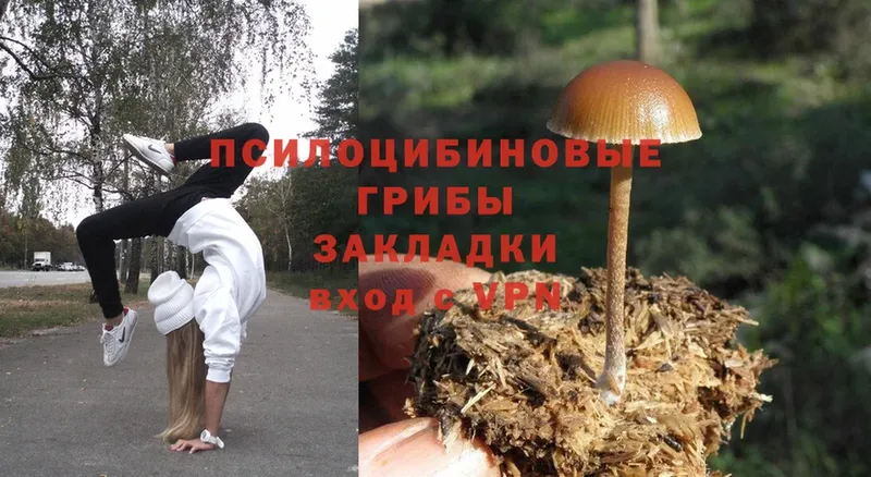 цены наркотик  Волосово  Псилоцибиновые грибы Magic Shrooms 